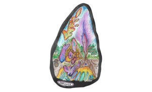 Seeds of change: Fis on his eco-friendly Saplings label that plants 100 trees for every album sold