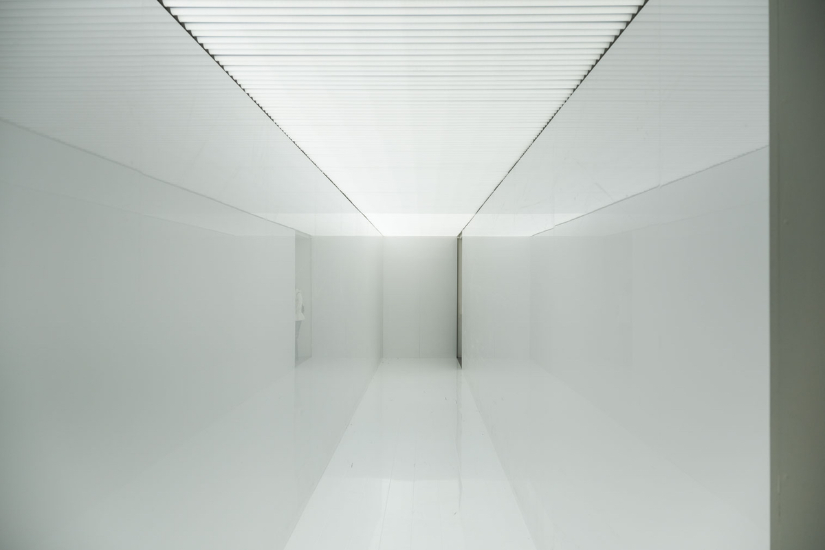 Venice Biennale