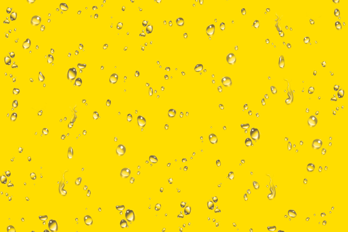 Mister Water Wet