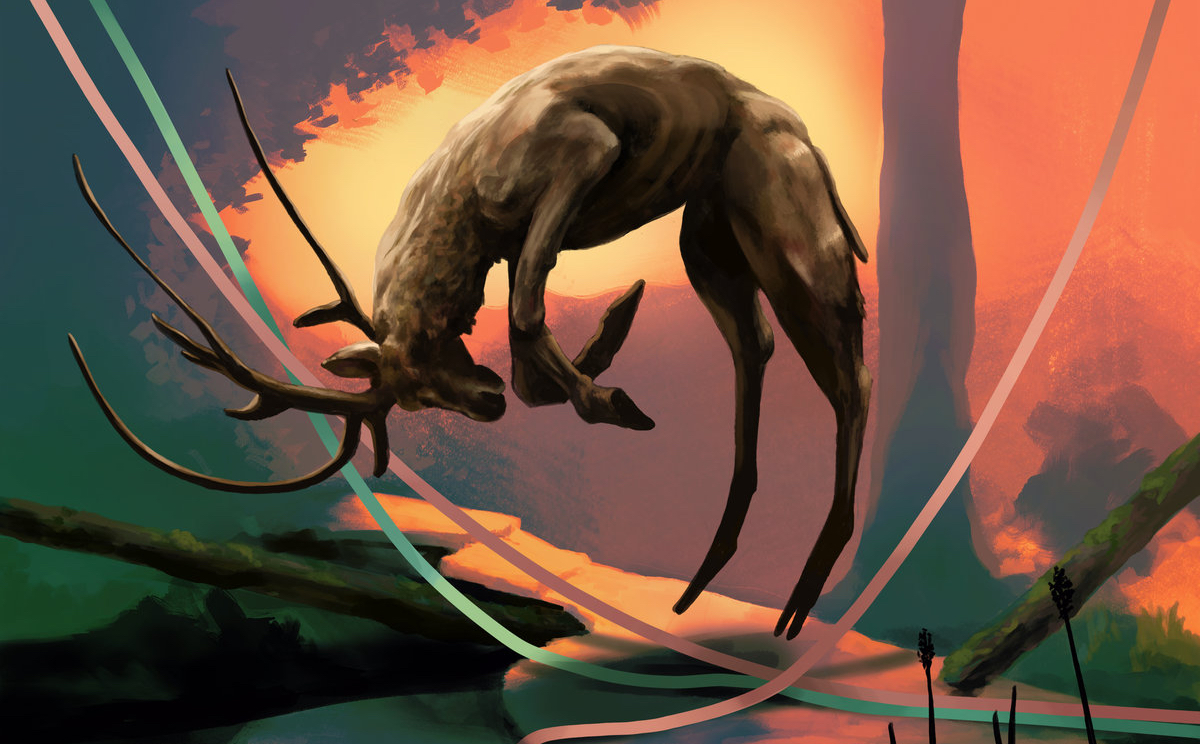 Limbo'