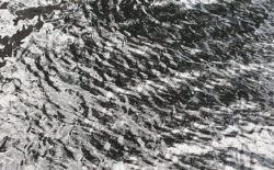 Lisa Smirnova collages Klammklang back catalog on Your Hair Turned Silver, yet There’s a Long Way to Go