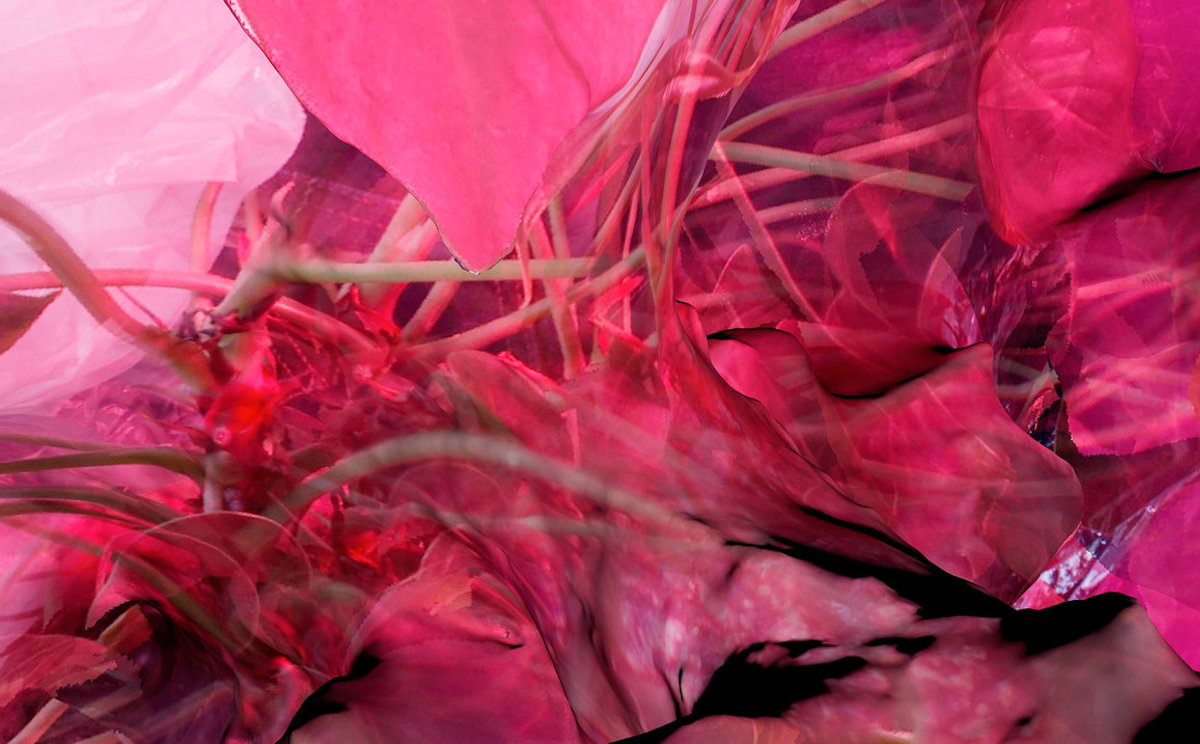Soft tissue album art