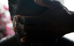 Aho Ssan channels Jean Baudrillard on debut album, Simulacrum