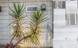 Tokyo’s Diskotopia shares annual free compilation