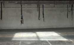 KhalilH20P, Basic House and Piag3t featured on Petrola 80 label compilation, Expand