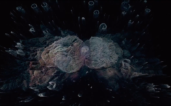 Watch CAO’s “neo-natural” ‘Su Venida A Ser’ video from her Club Chai EP Flesh Luminescence