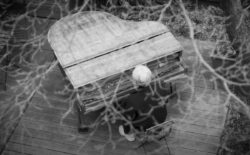 Ryuichi Sakamoto shares home concert for people in isolation