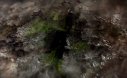 Mark IJzerman & Sébastien Robert investigate a changing ecosystem in Holobiosis