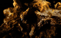 Maze & Lindholm invoke meditative stillness with ‘There’s a Room for You’