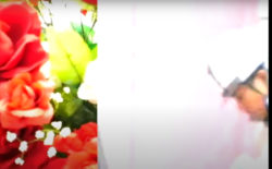 Chester Raj Anand sleepwalks through Tokyo in Strawberry