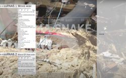 Snog (Coluber) shares transcendent trance montage for Amniote Editions