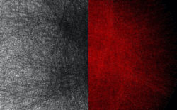 Shohei Fujimoto explores the structure of light in density compression [2020]