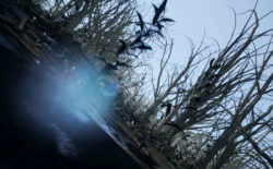 patten roams a desolate digital landscape in ‘Soft Power’