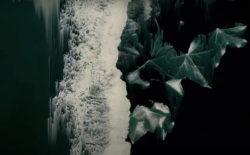 Katie Gately journeys through a landscape of grief in ‘Flow’