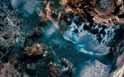 Sophia Loizou envisions a speculative sentient landscape in ‘Anima’