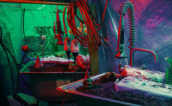 Jesse Osborne-Lanthier soundtracks a decaying still-life in ‘Catchment Areas (Spiritual Pollution)’