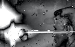 Teste channels depraved art-house cinema in ‘Romans Are Dead’