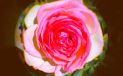 Sha Sha Kimbo seeks sunny rave nostalgia on ‘Omega High’