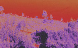 Piezo seeks stark contrasts and sounds with character on ‘OX’