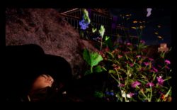 Audiovisual duo c / a recreate a lucid dream in Crystal Palace Park