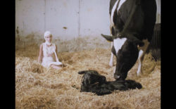 Marina Herlop marries Carnatic rhythms with cow births in ‘miu’