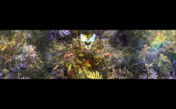 NYX, MA.MOYO and Nick Cobby meditate through nature, symbiosis and collective consciousness in Mutualism