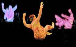 HAAi, Jon Hopkins, Akira Uchida and Tom Furse combine music, choreography and AI on Baby, We’re Ascending visual