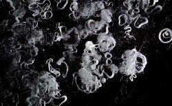 Solveig Settemsdal & Melkeveien entangle us within the world in the i sea